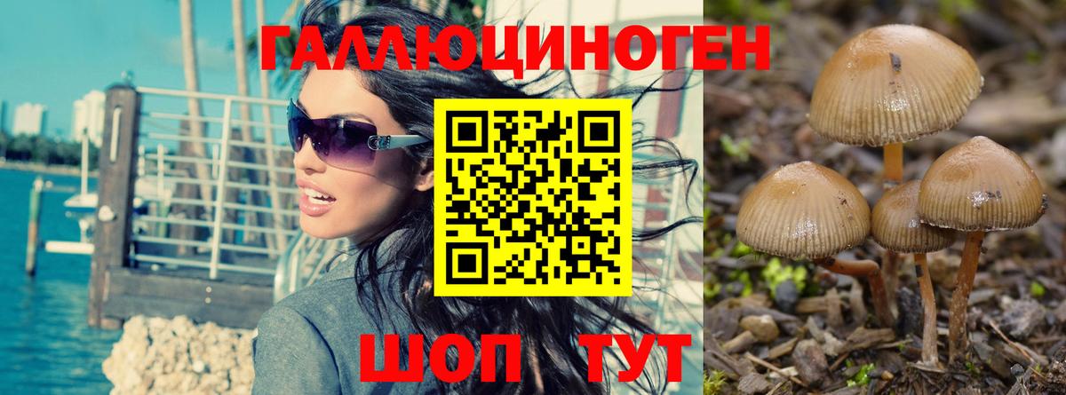 Набережные Челны  Галлюциногенные грибы мицелий  Вход с VPN 