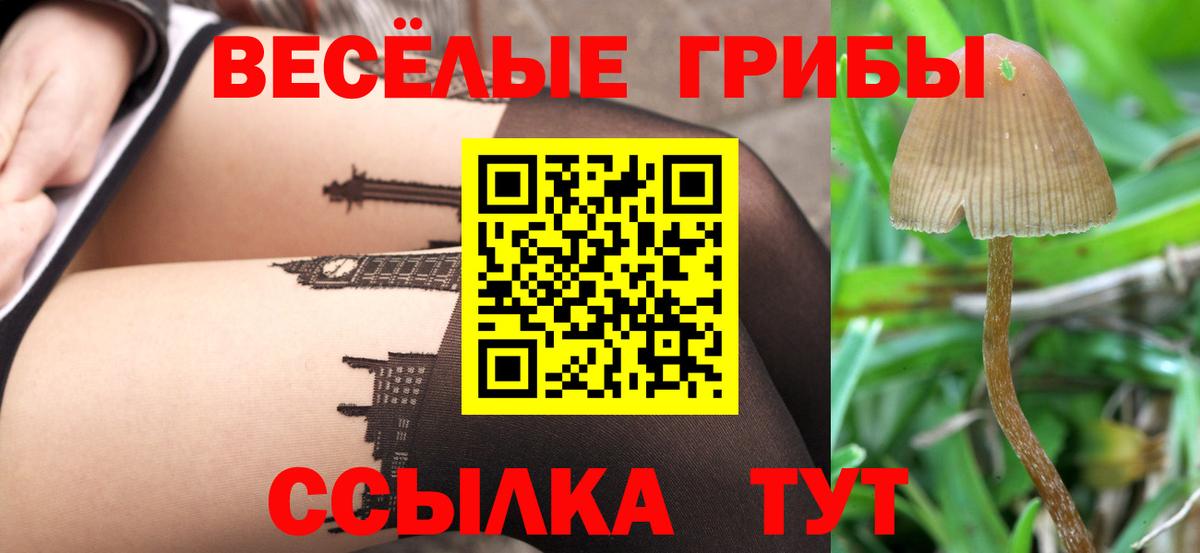 Галлюциногенные грибы Psilocybine cubensis Набережные Челны